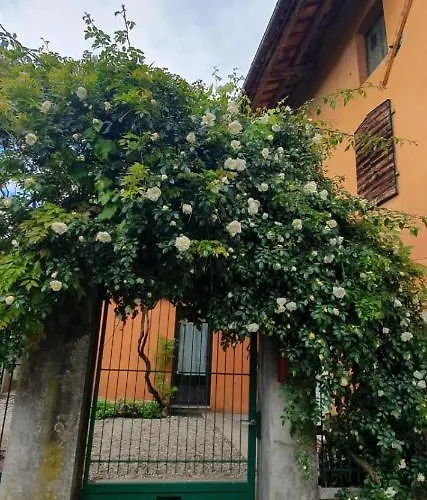 Dom wakacyjny Tredis